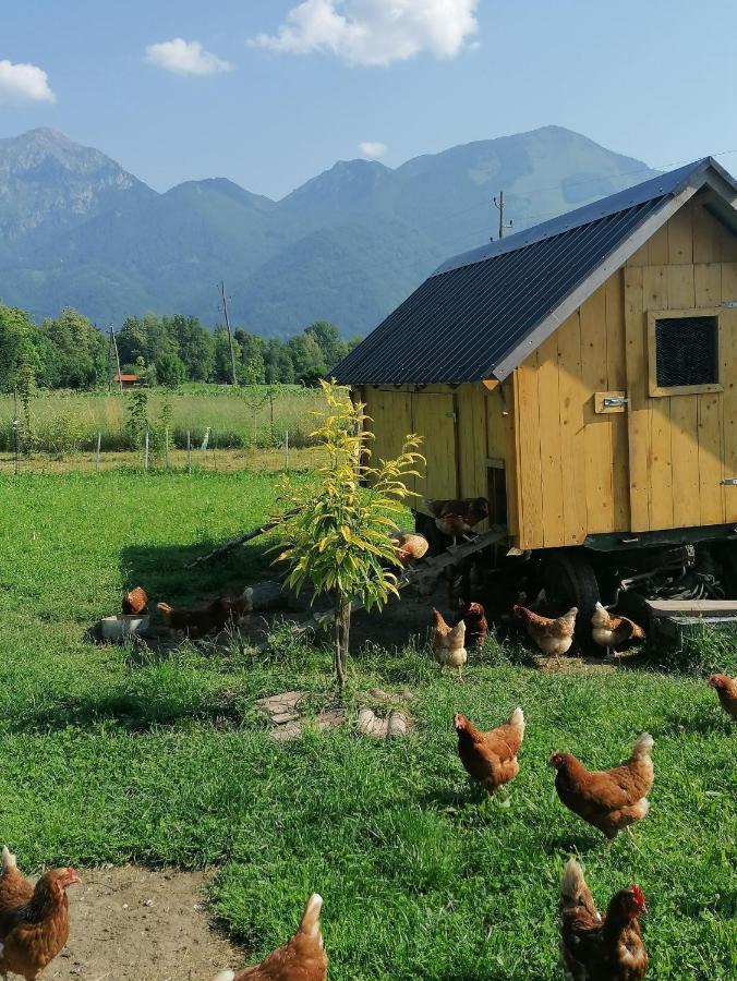 Glamping Mohorjev Grunt Hotel Preddvor Exterior foto